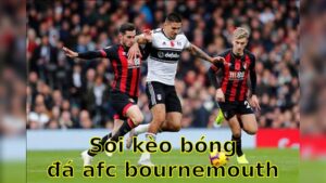 Soi kèo bóng đá AFC Bournemouth vs Fulham - 02:00 ngày 15/04 - Ngoại hạng Anh