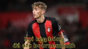 Soi kèo bóng đá AFC Bournemouth vs Ipswich Town - 01:45 ngày 03/04 - Ngoại hạng Anh
