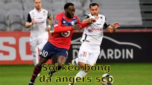 Soi kèo bóng đá Angers SCO vs Montpellier - 22:15 ngày 13/04 - Ligue 1