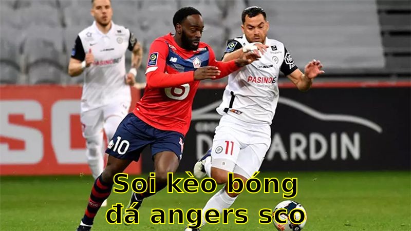 Soi kèo bóng đá Angers SCO vs Montpellier - 22:15 ngày 13/04 - Ligue 1