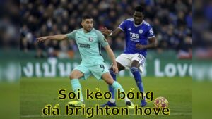 Soi kèo bóng đá Brighton & Hove Albion vs Leicester City - 21:00 ngày 12/04 - Ngoại hạng Anh