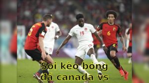 Soi kèo bóng đá Canada vs Ukraine - 02:30 ngày 08/06 - Giao Hữu