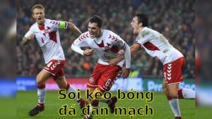 Soi kèo bóng đá Đan Mạch vs Lithuania - 07:00 ngày 10/06 - Giao Hữu