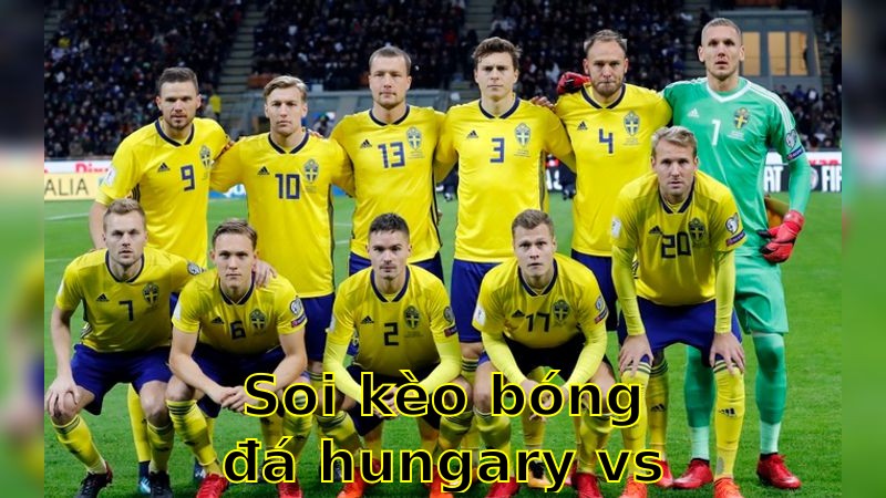 Soi kèo bóng đá Hungary vs Thụy Điển - 00:30 ngày 07/06 - Giao Hữu