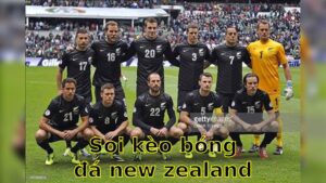 Soi kèo bóng đá New Zealand vs Côte d'Ivoire - 06:00 ngày 08/06 - Giao Hữu