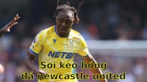 Soi kèo bóng đá Newcastle United vs Crystal Palace - 01:30 ngày 17/04 - Ngoại hạng Anh