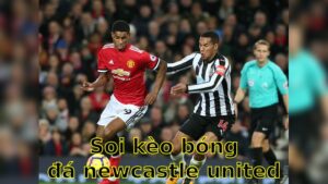 Soi kèo bóng đá Newcastle United vs Manchester United - 22:30 ngày 13/04 - Ngoại hạng Anh