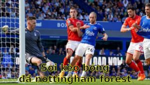 Soi kèo bóng đá Nottingham Forest vs Everton - 21:00 ngày 12/04 - Ngoại hạng Anh