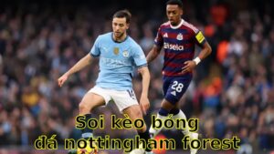 Soi kèo bóng đá Nottingham Forest vs Manchester City - 07:00 ngày 26/04 - FA Cup