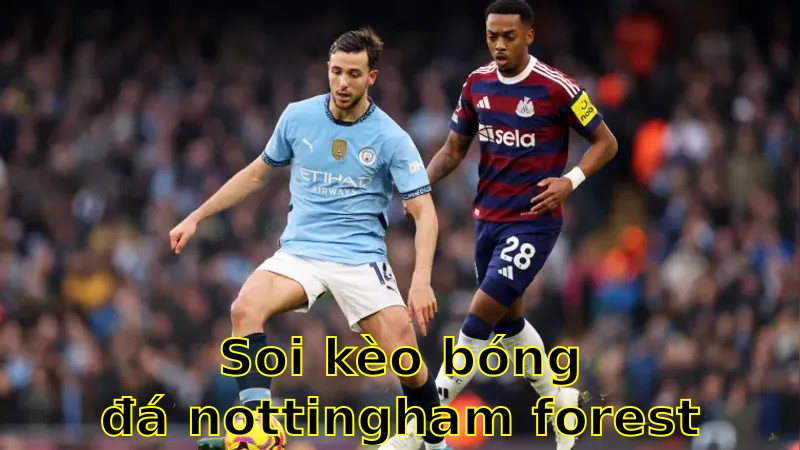 Soi kèo bóng đá Nottingham Forest vs Manchester City - 07:00 ngày 26/04 - FA Cup