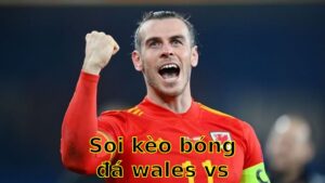 Soi kèo bóng đá Wales vs Liechtenstein - 01:45 ngày 07/06/2025 - Vòng loại World Cup