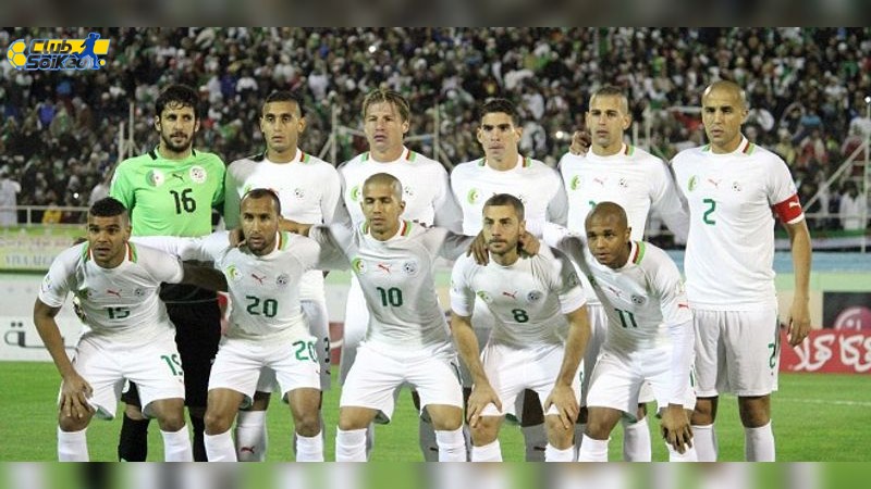 Phân Tích Phong Độ Đội Bóng Algeria và Rwanda