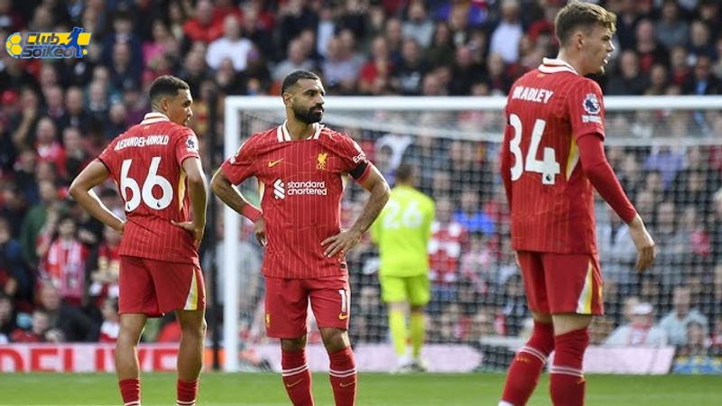 Phong độ hiện tại của Brighton & Hove Albion và Liverpool