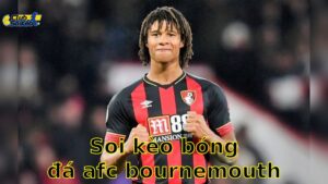 Soi kèo bóng đá AFC Bournemouth vs Leicester City - 22:00, ngày 25/05 - Ngoại Hạng Anh – Vòng 38