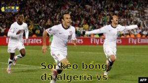 Soi kèo bóng đá Algeria vs Rwanda - 02:00, ngày 06/06 - mùa giải Giao Hữu (Friendlies 1)