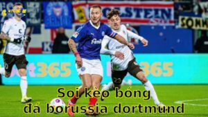 Soi kèo bóng đá Borussia Dortmund vs Holstein Kiel - 20:30, ngày 17/05 - Bundesliga – Vòng 34
