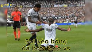 Soi kèo bóng đá Botafogo vs Seattle – 09:00, ngày 16/6 – FIFA Club World Cup