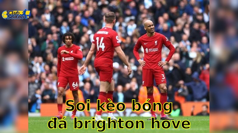Soi kèo bóng đá Brighton & Hove Albion vs Liverpool - 02:00, ngày 20/05 - Ngoại Hạng Anh – Vòng 37