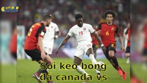 Soi kèo bóng đá Canada vs Côte d'Ivoire - 07:30 ngày 11/06 - Giao Hữu