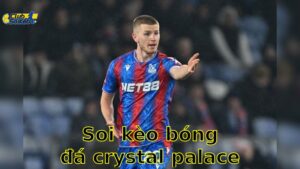 Soi kèo bóng đá Crystal Palace vs Wolverhampton Wanderers - 02:00, ngày 21/05 - Ngoại Hạng Anh – Vòng 37