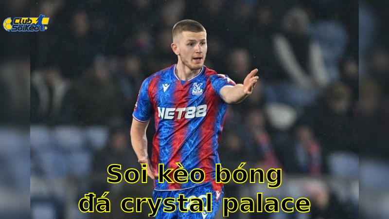 Soi kèo bóng đá Crystal Palace vs Wolverhampton Wanderers - 02:00, ngày 21/05 - Ngoại Hạng Anh – Vòng 37
