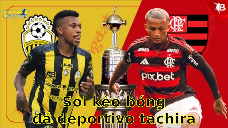 Soi kèo bóng đá Deportivo Tachira vs Central Cordoba - 05:00, ngày 14/05 - Copa Libertadores 2025