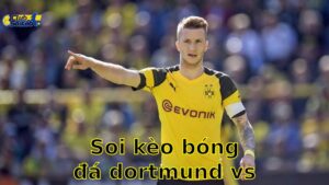 Soi kèo bóng đá Dortmund vs Urawa Reds – 02:00, ngày 22/6 – FIFA Club World Cup