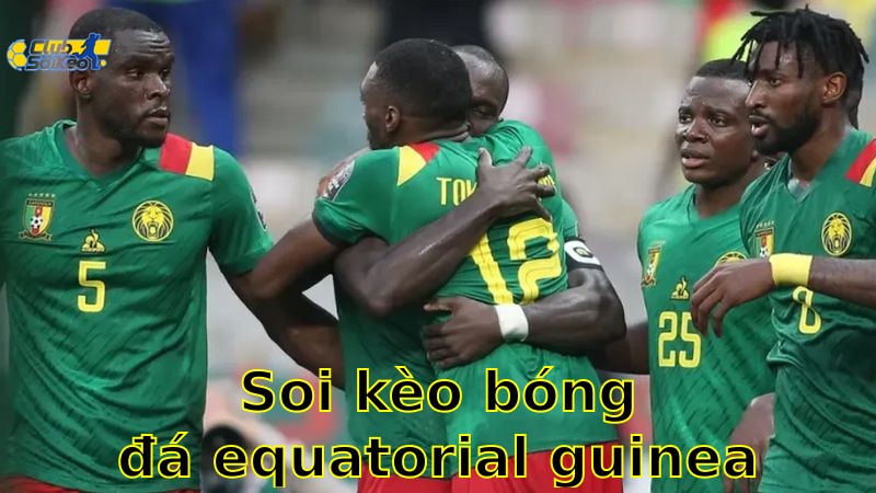 Soi kèo bóng đá Equatorial Guinea vs Cameroon - 02:00, ngày 07/06 - mùa giải Giao Hữu (Friendlies 1)