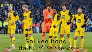 Soi kèo bóng đá Fluminense vs Dortmund – 23:00, ngày 17/6 – FIFA Club World Cup