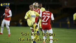 Soi kèo bóng đá Fortaleza vs Atl. Bucaramanga - 07:30, ngày 14/05 - Copa Libertadores 2025