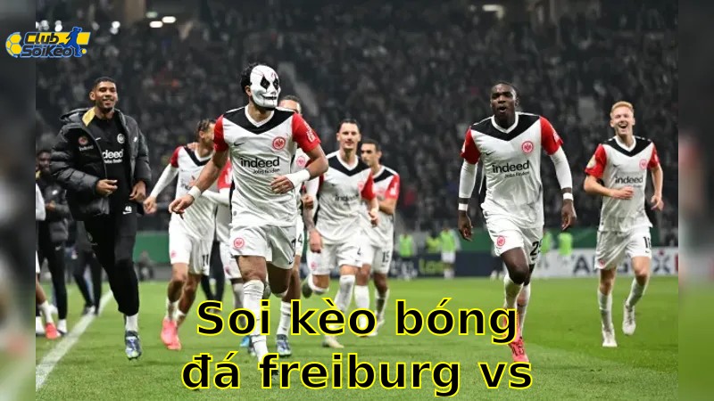 Soi kèo bóng đá Freiburg vs Eintracht Frankfurt - 20:30, ngày 17/05 - Bundesliga – Vòng 34