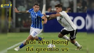 Soi kèo bóng đá Gremio vs Godoy Cruz - 05:00, ngày 14/05 - Copa Sudamericana 2025