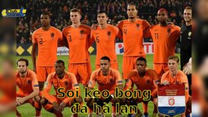 Soi kèo bóng đá Hà Lan vs Malta - 01:45 ngày 11/06/2025 - Vòng loại World Cup
