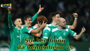 Soi kèo bóng đá Heidenheim vs Werder Bremen - 20:30, ngày 17/05 - Bundesliga – Vòng 34