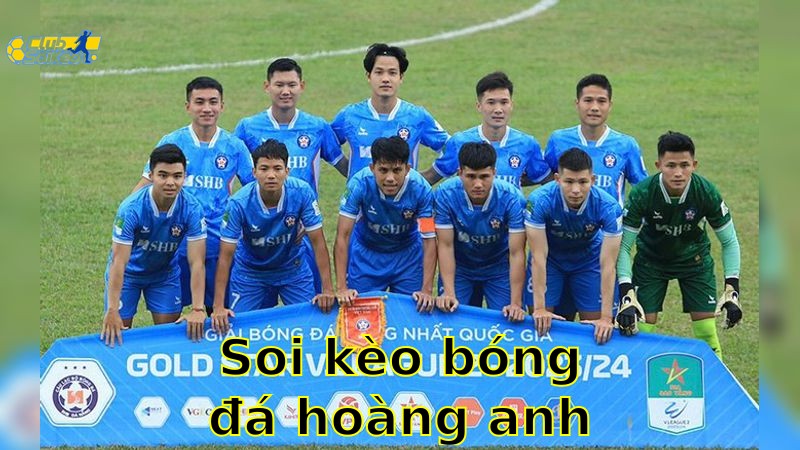 Soi kèo bóng đá Hoàng Anh Gia Lai vs SHB Đà Nẵng - 17:00, ngày 23/05 - V.League 1 – Vòng 24