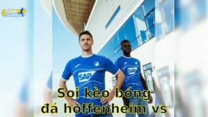 Soi kèo bóng đá Hoffenheim vs Bayern Munich - 20:30, ngày 17/05 - Bundesliga – Vòng 34