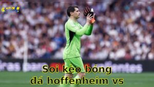 Soi kèo bóng đá Hoffenheim vs Bayern Munich - 20:30, ngày 17/05 - Bundesliga – Vòng 34