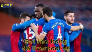 Soi kèo bóng đá Liverpool vs Crystal Palace - 22:00, ngày 25/05 - Ngoại Hạng Anh – Vòng 38