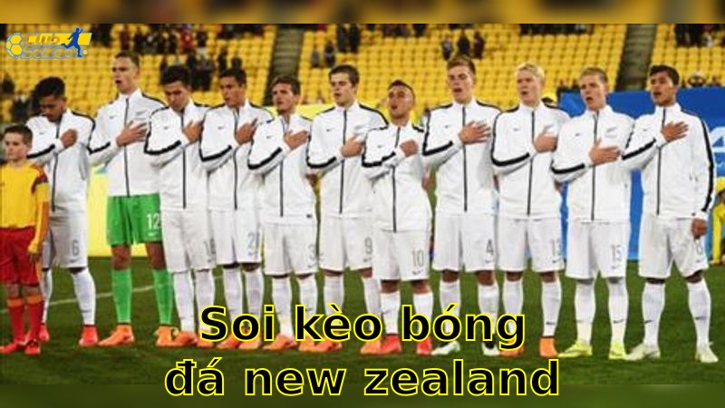 Soi kèo bóng đá New Zealand vs Ukraine - 04:00 ngày 11/06 - Giao Hữu