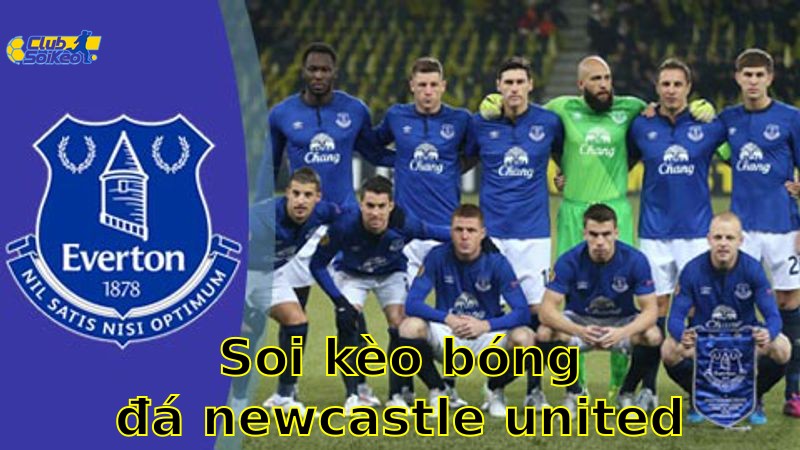 Soi kèo bóng đá Newcastle United vs Everton - 22:00, ngày 25/05 - Ngoại Hạng Anh – Vòng 38