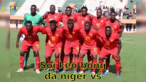 Soi kèo bóng đá Niger vs Guinea - 07:00, ngày 06/06 - mùa giải Giao Hữu (Friendlies 3)