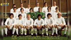 Soi kèo bóng đá Northern Ireland vs Iceland - 01:45 ngày 11/06 - Giao Hữu