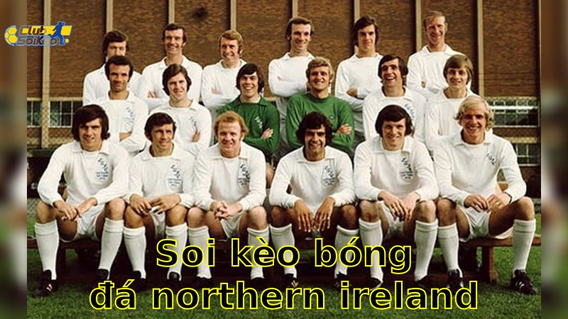 Soi kèo bóng đá Northern Ireland vs Iceland - 01:45 ngày 11/06 - Giao Hữu