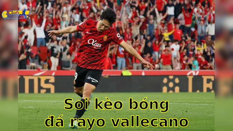 Soi kèo bóng đá Rayo Vallecano vs Mallorca - 07:00, ngày 25/05 - La Liga – Vòng 38