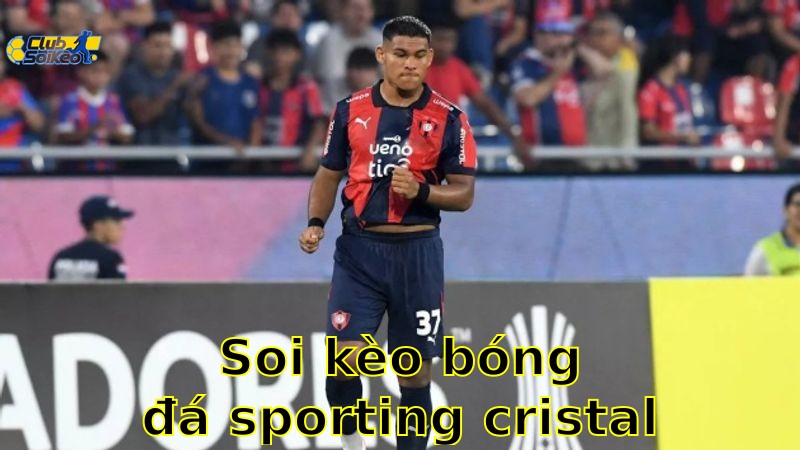 Soi kèo bóng đá Sporting Cristal vs Cerro Porteno - 07:30, ngày 14/05 - Copa Libertadores 2025