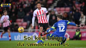 Soi kèo bóng đá Sunderland vs Coventry - 02:00, ngày 14/05 - EFL Championship