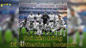 Soi kèo bóng đá Tottenham Hotspur vs Brighton & Hove Albion - 22:00, ngày 25/05 - Ngoại Hạng Anh – Vòng 38
