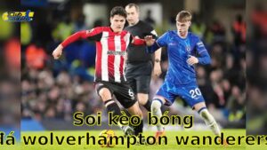 Soi kèo bóng đá Wolverhampton Wanderers vs Brentford - 22:00, ngày 25/05 - Ngoại Hạng Anh – Vòng 38