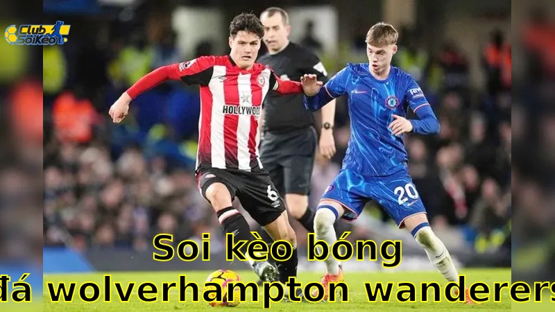 Soi kèo bóng đá Wolverhampton Wanderers vs Brentford - 22:00, ngày 25/05 - Ngoại Hạng Anh – Vòng 38