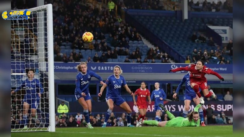 Soi kèo Newcastle và Everton: Phân tích phong độ đội